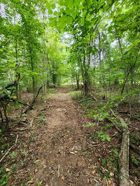 2754 Scribners Mill Rd, Culleoka, TN 38451