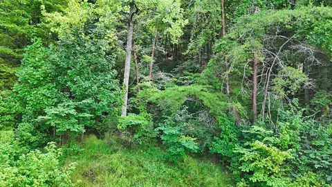 2 Post Oak Dr, Ooltewah, TN 37363 photo 57