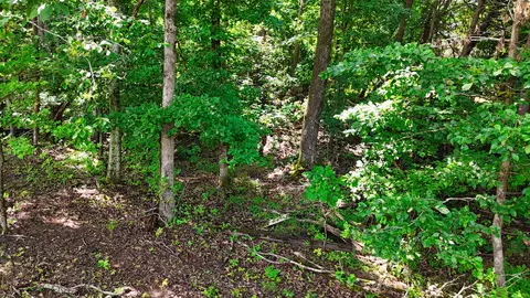2 Post Oak Dr, Ooltewah, TN 37363 photo 61