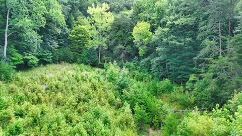 2 Post Oak Dr, Ooltewah, TN 37363 photo 55