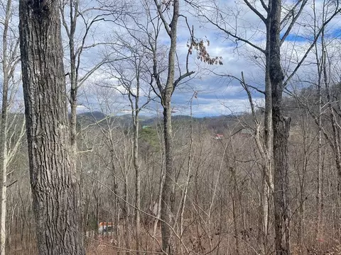 99 Dolly South Dr, Sevierville, TN 37876