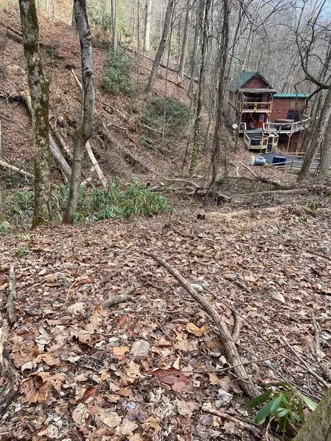 7 Black Walnut Flts, Sevierville, TN 37862