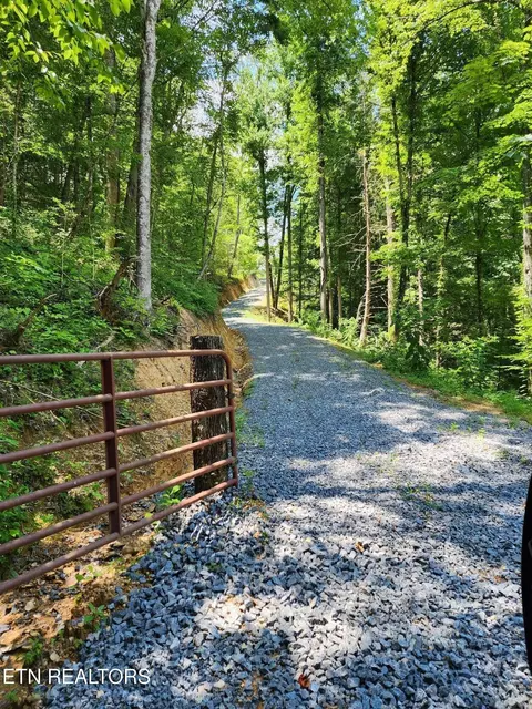 0 Tiger Lilly Dr, Cosby, TN 37722