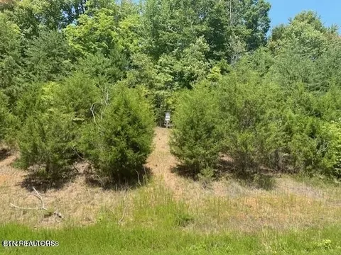 492 Citron Ln, New Tazewell, TN 37825