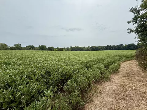 0 Compton Rd, Athens, AL 35613 photo 5