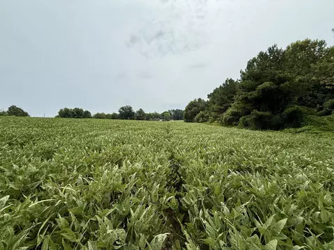 0 Compton Rd, Athens, AL 35613 photo 6