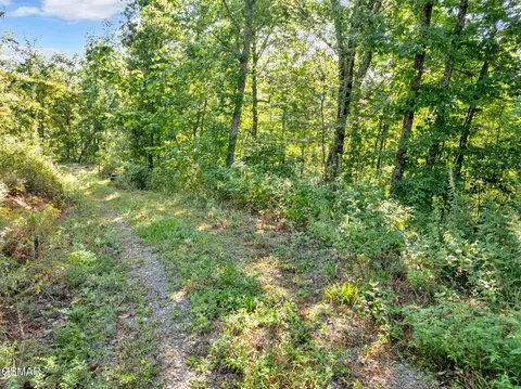 1 Shell Mountain Rd, Sevierville, TN 37876 photo 11