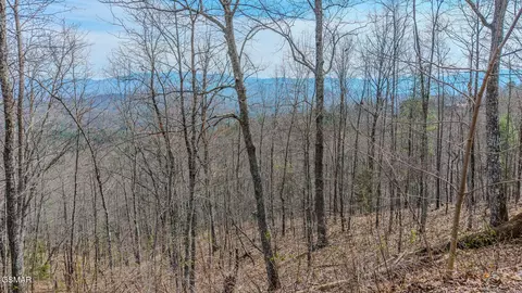 1 Shell Mountain Rd, Sevierville, TN 37876 photo 6