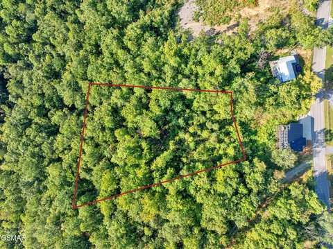 1 Shell Mountain Rd, Sevierville, TN 37876 photo 5