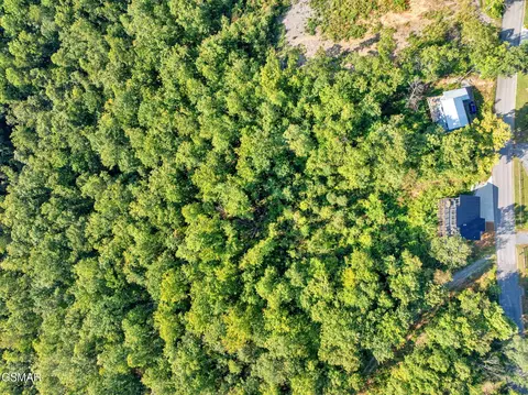 1 Shell Mountain Rd, Sevierville, TN 37876 photo 19