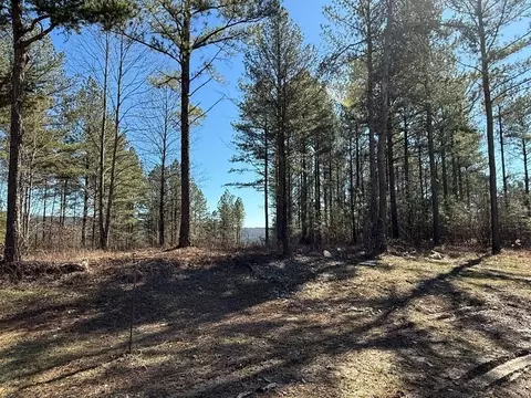 3970 Split Rail Way, Guild, TN 37340 photo 4