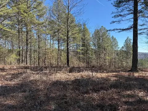 3970 Split Rail Way, Guild, TN 37340 photo 5