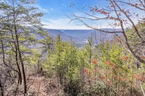 3970 Split Rail Way, Guild, TN 37340 photo 16