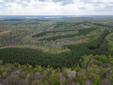 0 Rustic Pines Rd, Dover, TN 37058 photo 5