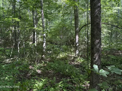 18 Laurel Way, Monterey, TN 38574