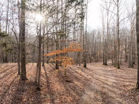 6 Pinewood Rd, Nunnelly, TN 37137