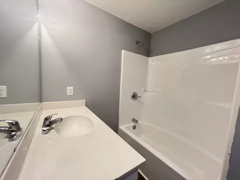 Bath - 1456 Jackson Hollow Rd, Goodspring, TN 38460 photo 3 of 6