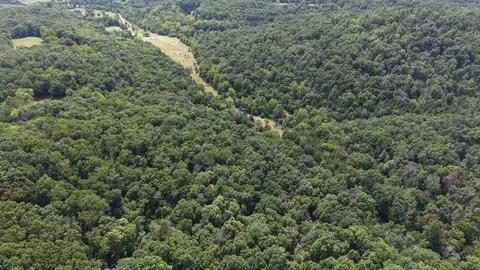 661 Red Tuttle Rd, Bethpage, TN 37022 photo 8