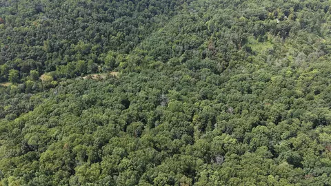 661 Red Tuttle Rd, Bethpage, TN 37022 photo 10