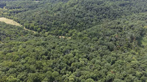 661 Red Tuttle Rd, Bethpage, TN 37022 photo 9