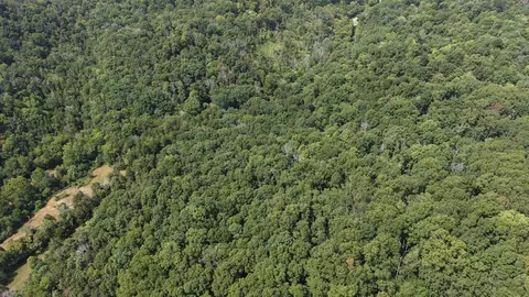 661 Red Tuttle Rd, Bethpage, TN 37022 photo 12