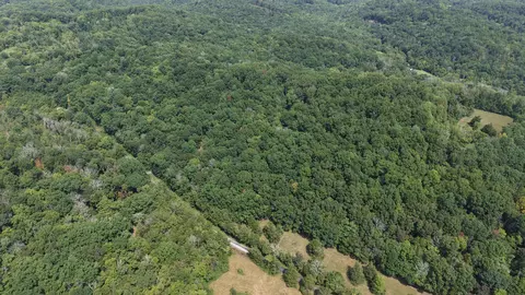 661 Red Tuttle Rd, Bethpage, TN 37022 photo 4