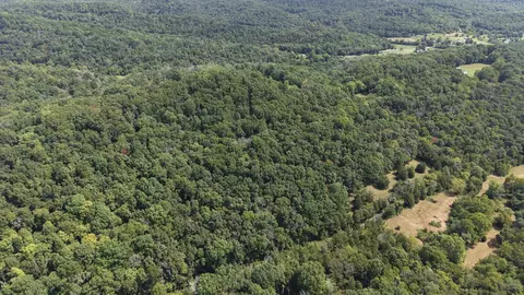 661 Red Tuttle Rd, Bethpage, TN 37022 photo 6