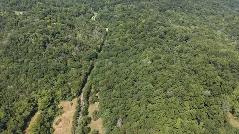 661 Red Tuttle Rd, Bethpage, TN 37022 photo 13