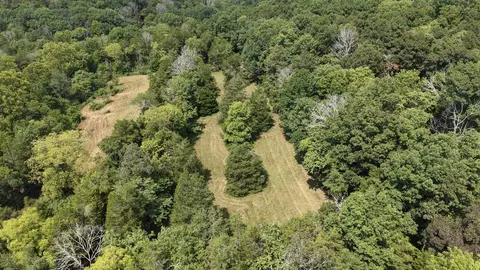 685 Red Tuttle Rd, Bethpage, TN 37022 photo 16