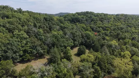 685 Red Tuttle Rd, Bethpage, TN 37022 photo 14