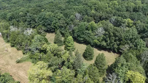 685 Red Tuttle Rd, Bethpage, TN 37022 photo 15