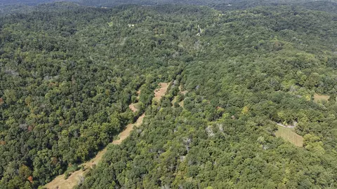 685 Red Tuttle Rd, Bethpage, TN 37022 photo 12