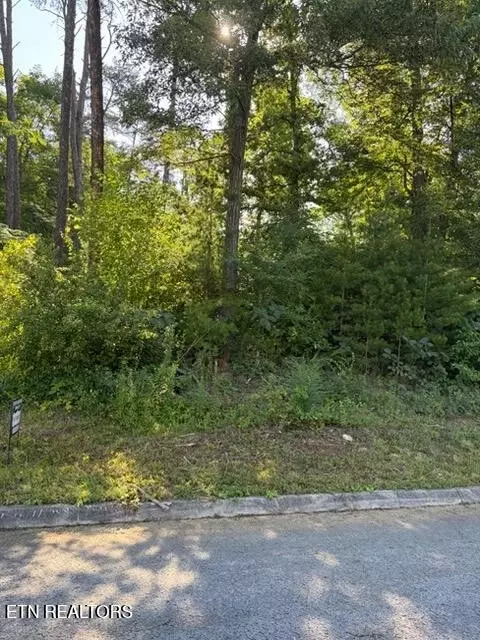 7665 Pennyroyal Dr, Knoxville, TN 37920