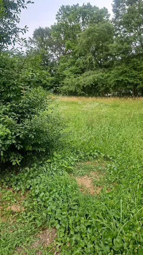 540 Berclair Rd, Memphis, TN 38122 photo 3