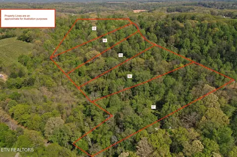 0 Elm Ln #LOT 16, Niota, TN 37826