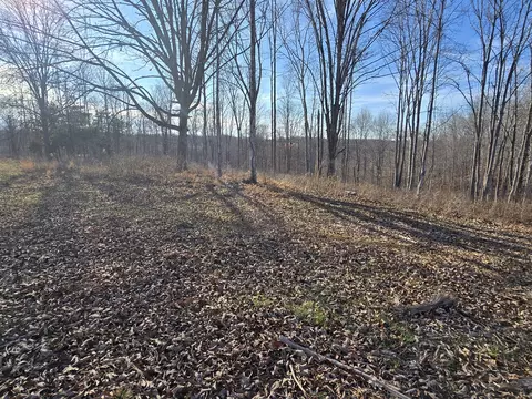 9510 Medlin Rd, Baxter, TN 38544 photo 3