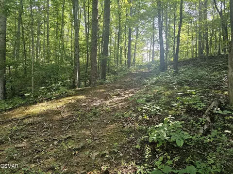 2 Franklin Ln, Sevierville, TN 37876
