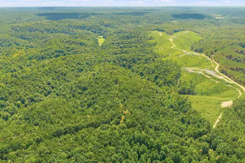 0 Scott Ridge Rd, Waynesboro, TN 38485
