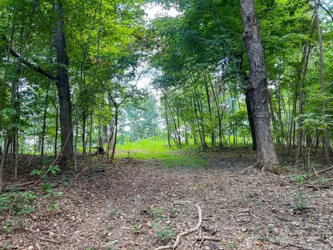 7659 Burks Rd, Christiana, TN 37037