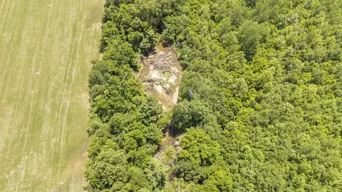 904 Capooth Rd, Ramer, TN 38367 photo 7