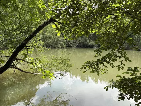 904 Capooth Rd, Ramer, TN 38367 photo 5