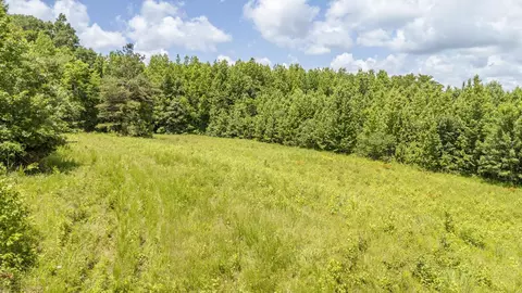 904 Capooth Rd, Ramer, TN 38367 photo 29