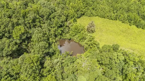 904 Capooth Rd, Ramer, TN 38367 photo 6