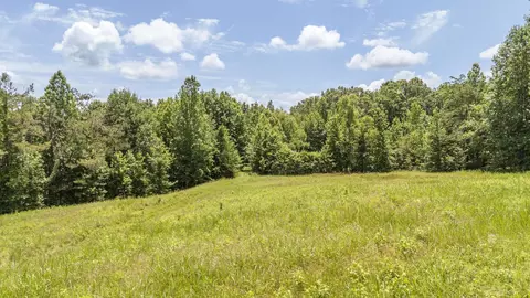 904 Capooth Rd, Ramer, TN 38367 photo 27