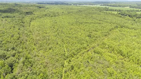 904 Capooth Rd, Ramer, TN 38367 photo 36
