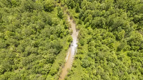 904 Capooth Rd, Ramer, TN 38367 photo 4