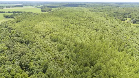 904 Capooth Rd, Ramer, TN 38367 photo 30
