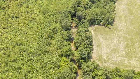 904 Capooth Rd, Ramer, TN 38367 photo 39