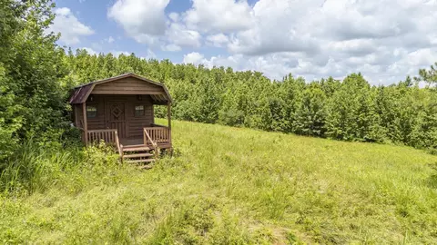 904 Capooth Rd, Ramer, TN 38367 photo 10