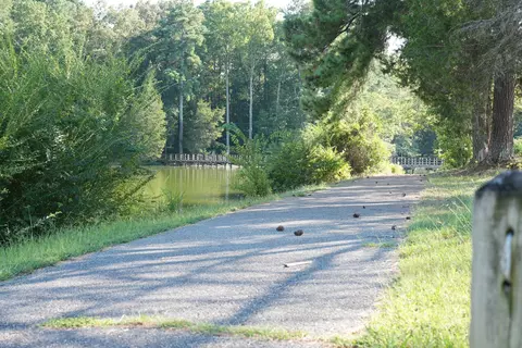 Other - 971 Sherrill Rd, Decherd, TN 37324 photo 13 of 16